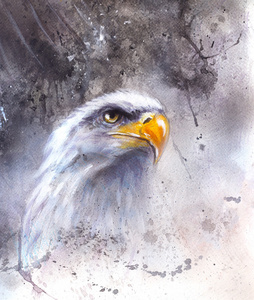 老鹰在抽象的背景下的幅美丽的画