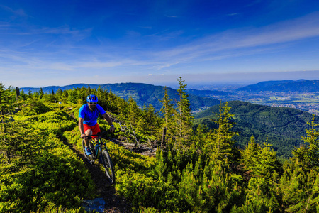 山地自行车骑自行车在夏天山区森林景观