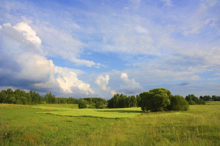 夏天风景