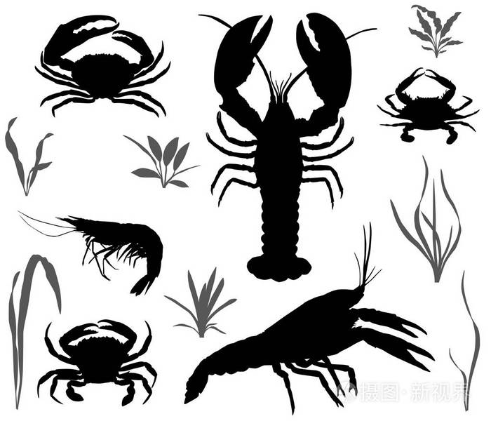 四种甲壳动物剪影: 小龙虾, 龙虾, 蟹和虾
