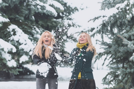 在冬季的一天玩雪球在森林里的快乐姐妹