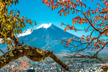 从红塔富士山视图