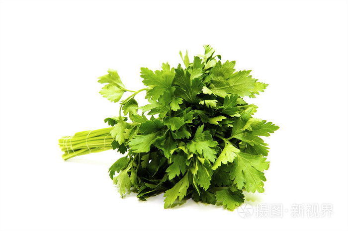 植西芹欧芹洋芫荽