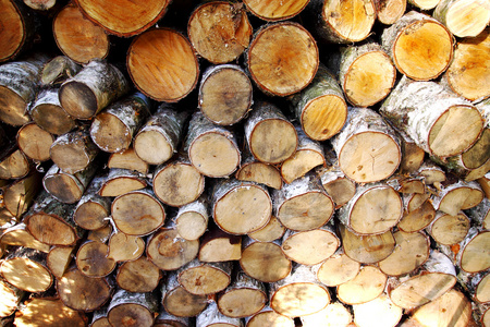 木材 树林 木制品