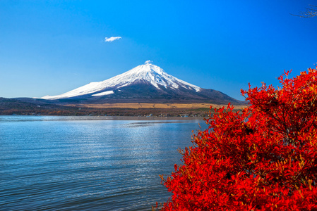 日本的富士山