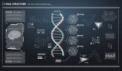 平视显示器的信息图表元素与 Dna 结构。未来的用户界面。抽象的虚拟图形