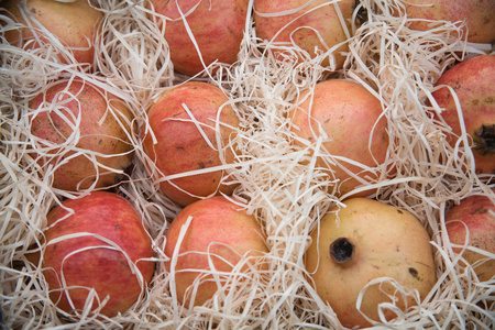 石榴 pomegranate的名词复数  石榴树