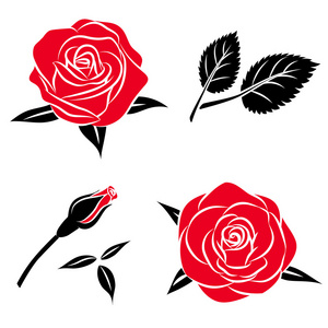 美丽的花朵红黑玫瑰叶，矢量玫瑰插画，孤立在上白色镶