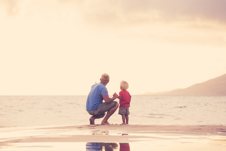 在海滩上的父亲和儿子 wallking