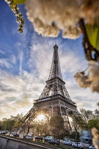 春天树在法国巴黎的埃菲尔铁塔