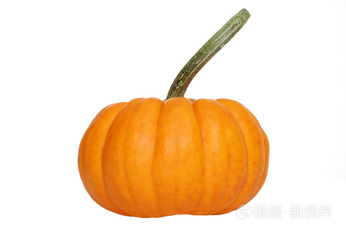 Pumpkin gourd