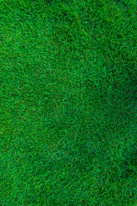 绿色自然草足球场背景顶部视图