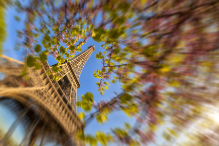 春天树在法国巴黎的埃菲尔铁塔