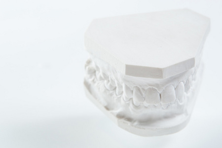 石膏模型的人类下颚上一个白色的背景