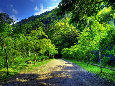 山岭公路