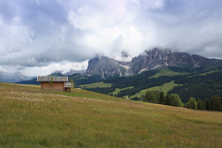 赛瑟阿尔姆TrentinoAltoAdige