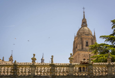 萨拉曼卡，西班牙的两个教堂之一的新大教堂的钟塔