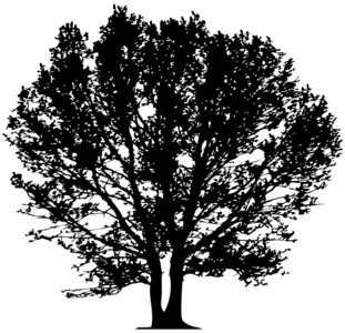 向量树
