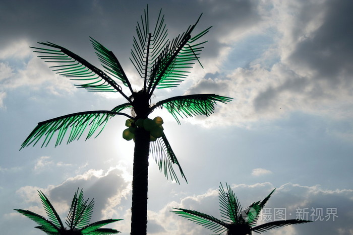 Palms