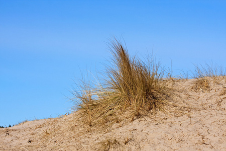 沙丘 sand dune的名词复数  砂丘