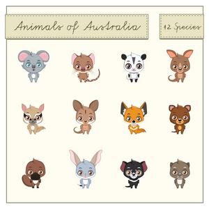 澳洲动物集合图片