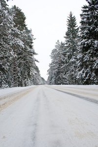 雪域乡村域乡村公路景观