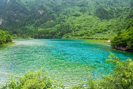 孔雀湖，在九寨沟国家公园中最大的湖泊之一。形状的湖，当查看从上面，会看起来像一只孔雀