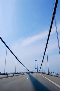 丹麦垂直悬索桥