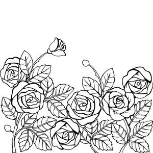 手绘制的着色页的抗应力的玫瑰花园