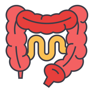 肠道的概念。线矢量图标。可编辑的中风。孤立在白色背景上的扁线形图