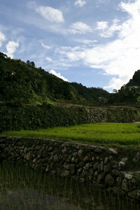 福高米梯田