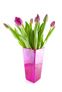 粉红色花瓶的荷兰郁金香