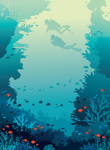 水肺潜水 珊瑚礁 鱼类 水下海