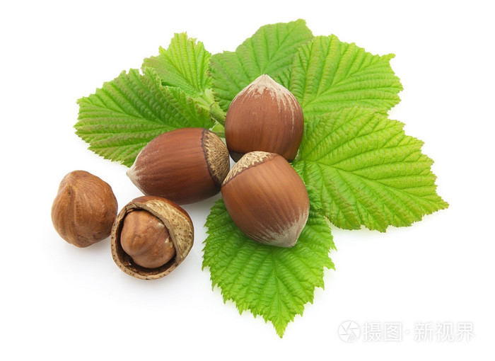 榛实hazelnut的名词复数