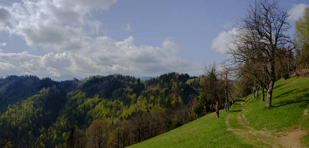 春天在斯洛文尼亚山