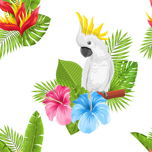 无缝外来模式与鹦鹉鹦鹉和热带的叶子和花