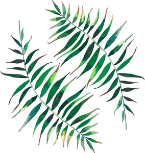 美丽绿色热带可爱可爱精彩夏威夷花卉中草药棕榈模式矢量图。完美的纺织 壁纸 包装纸