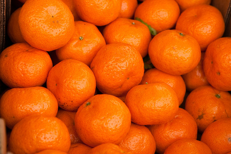 橘子 蜜柑 柑子 柑