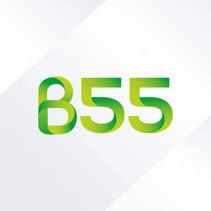 B55 字母和数字标志图标