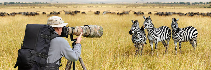 专业野生动物摄影师