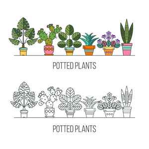 在花盆里的花。盆栽的植物。矢量图。白色背景上孤立