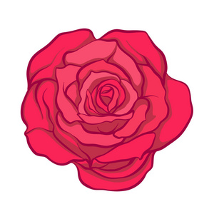 红玫瑰花卉分离手绘。股票行向量说明
