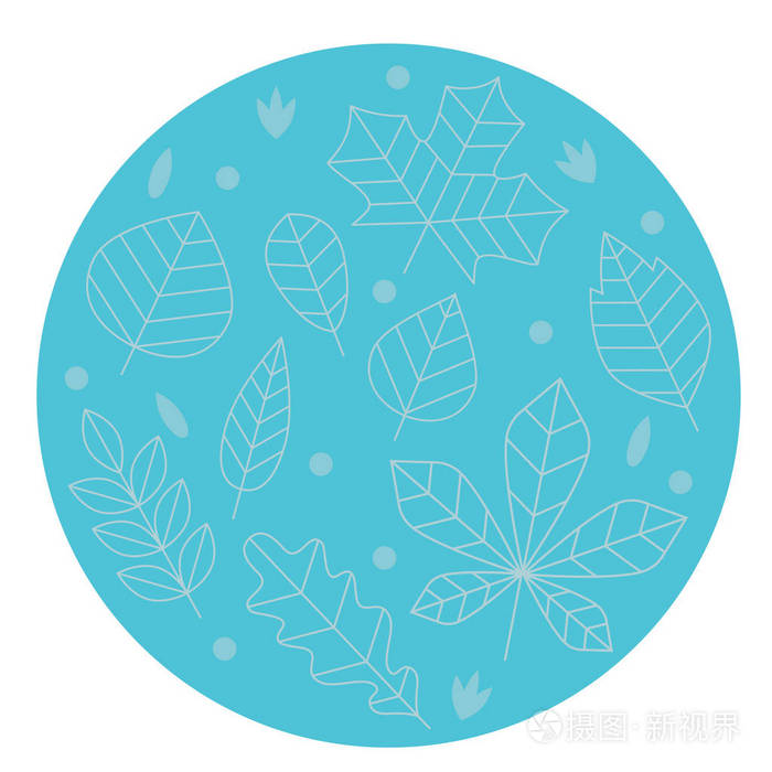 清洁和简约矢量不同形状的线形叶子