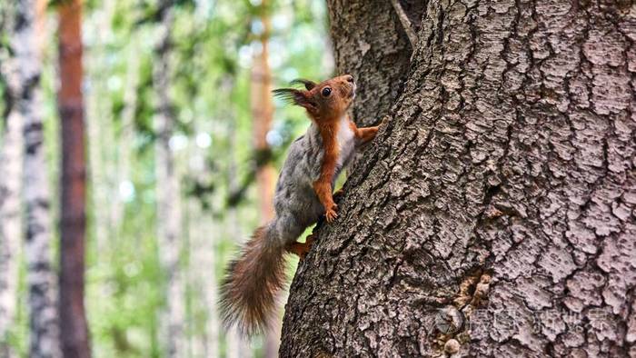 中考文言文拓展阅读提分训练_野外拓展训练_野外定向拓展