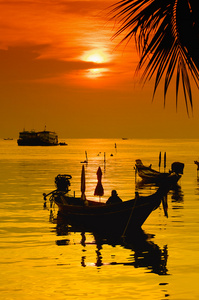 日落与棕榈和船在热带海滩