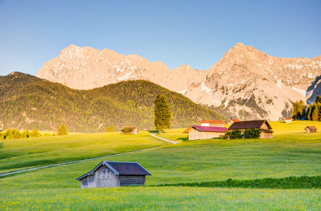 在 Karwendel 山牧场