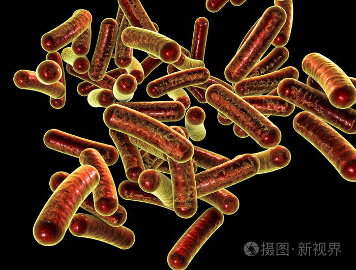 志贺氏菌属细菌引起食源性感染志贺菌病