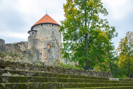 旧镇 城市 城堡和钗，拉脱维亚的公园。2017