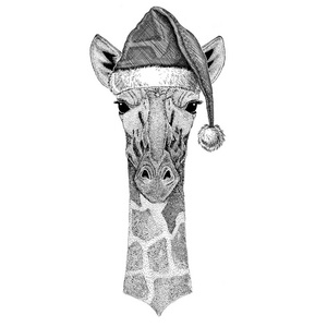 Camelopard 长颈鹿穿着圣诞帽子新的一年平安夜圣诞快乐和新年快乐动物园生活假期庆祝手绘制的图像