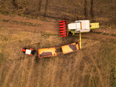 玉米玉米收获，鸟瞰图的拖拉机和联合收割机